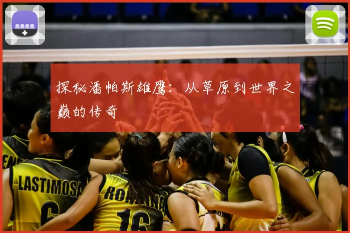 探秘潘帕斯雄鹰：从草原到世界之巅的传奇