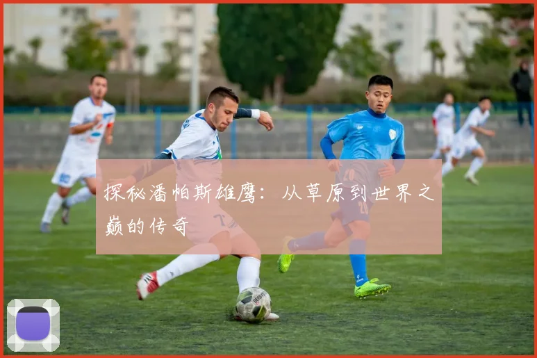 探秘潘帕斯雄鹰:从草原到世界之巅的传奇