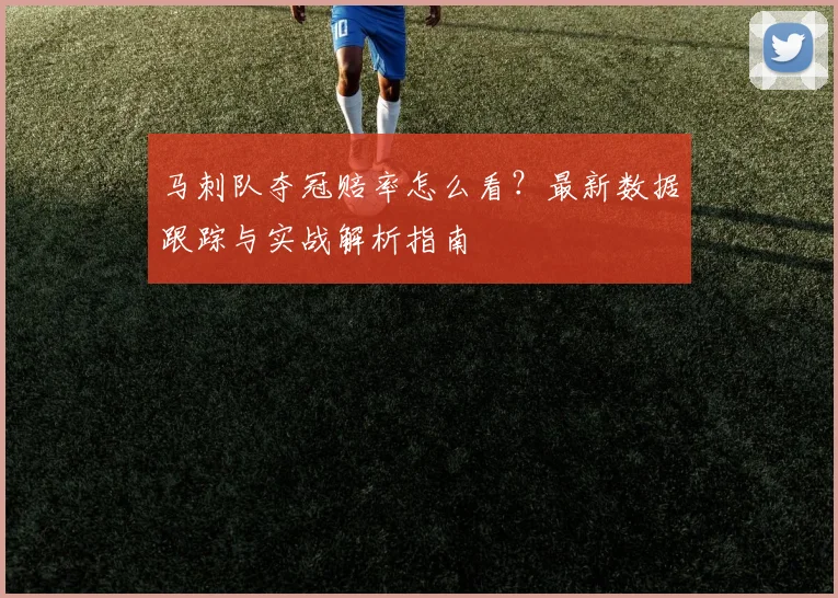 马刺队夺冠赔率怎么看?最新数据跟踪与实战解析指南